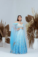 Lehenga Ombre Bliss