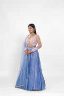 Glacial Glamour Lehenga Set